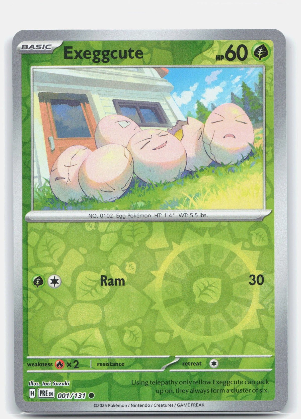 Exeggcute