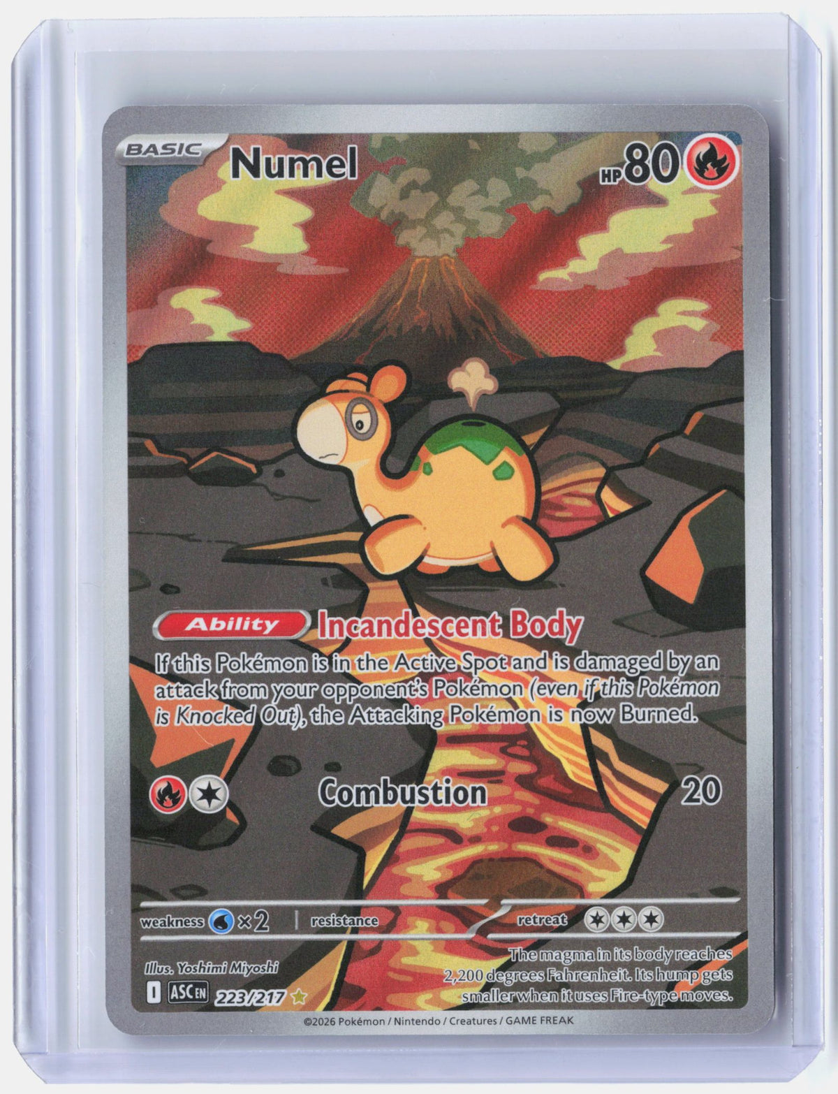 Numel - 223/217