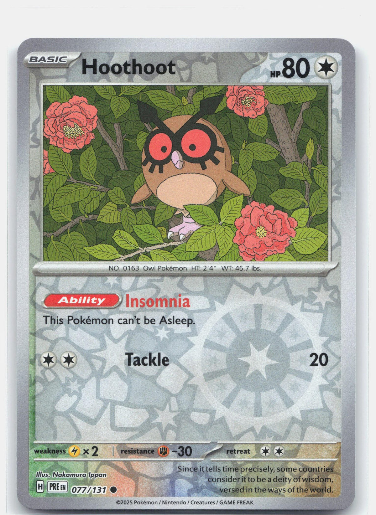 Hoothoot