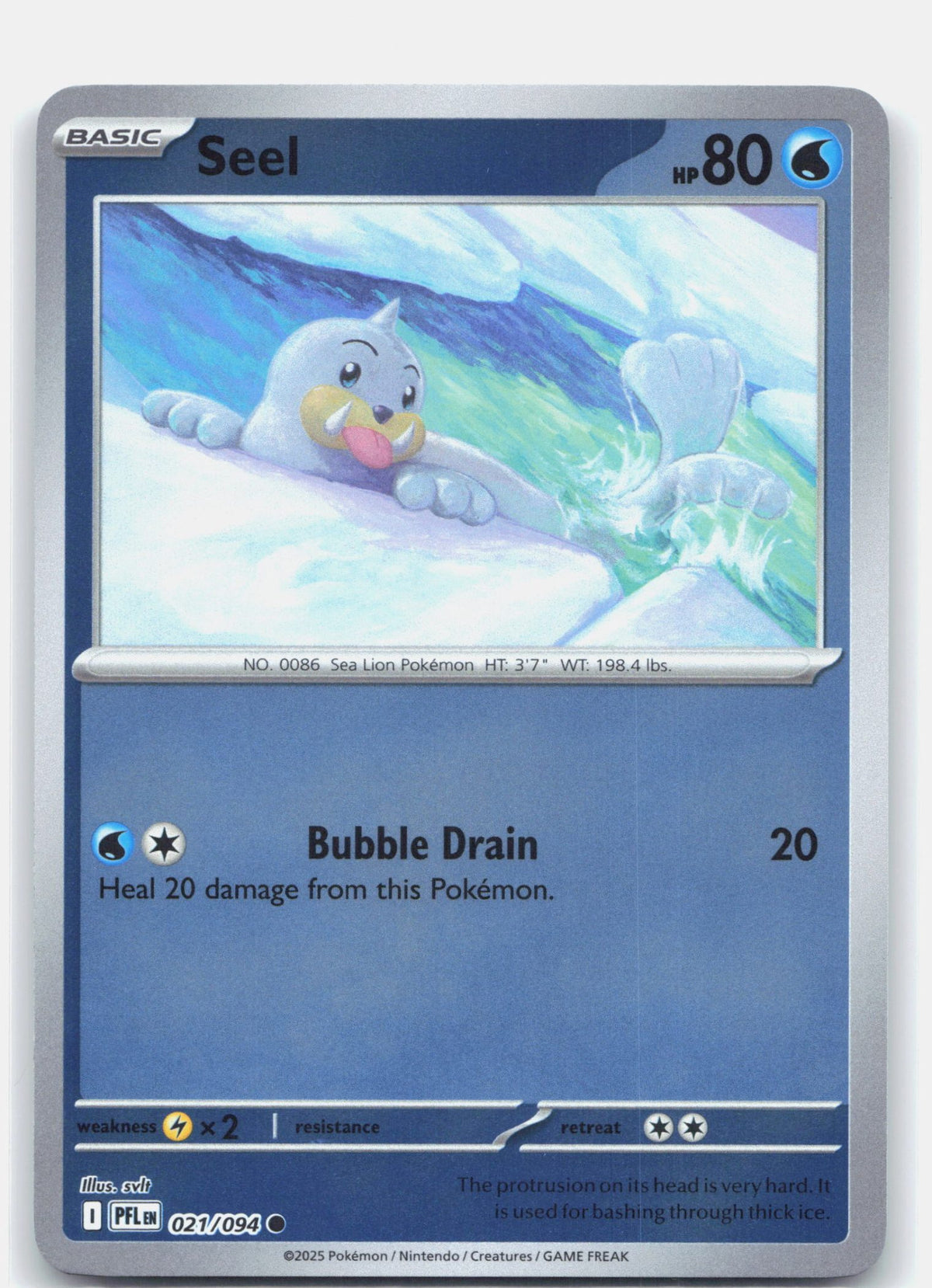 Seel