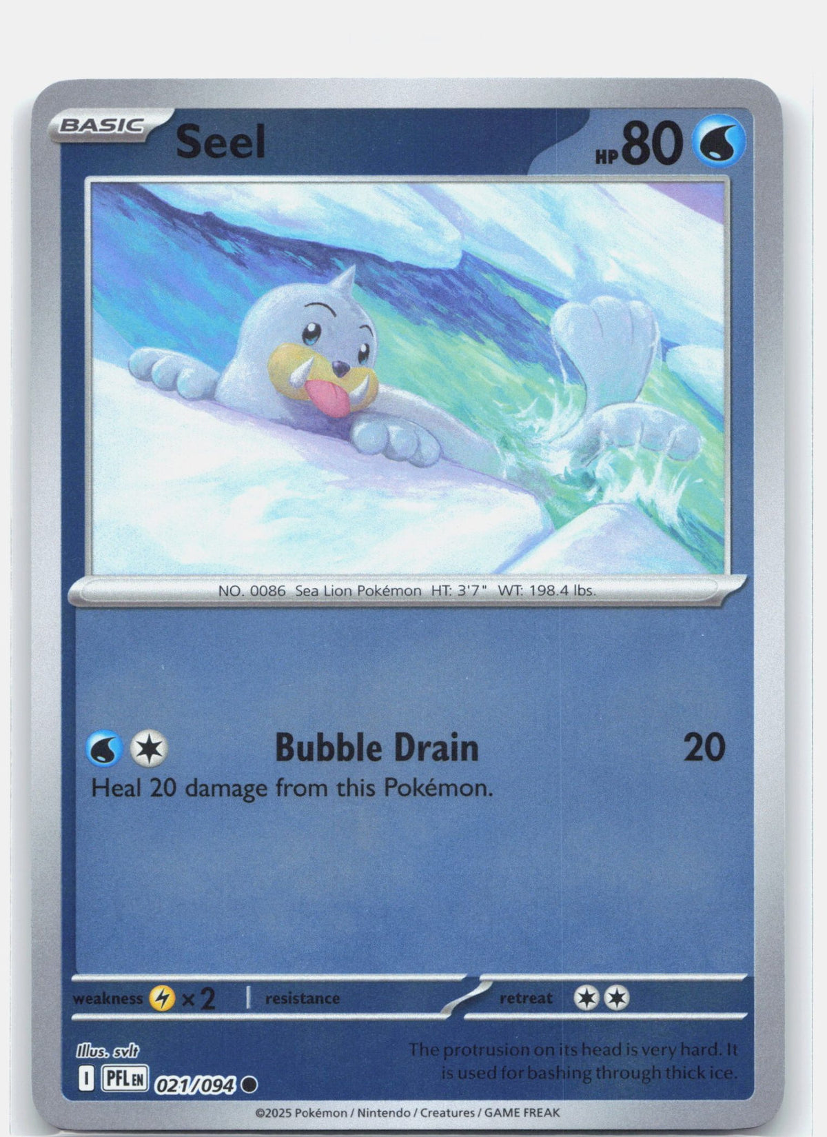 Seel