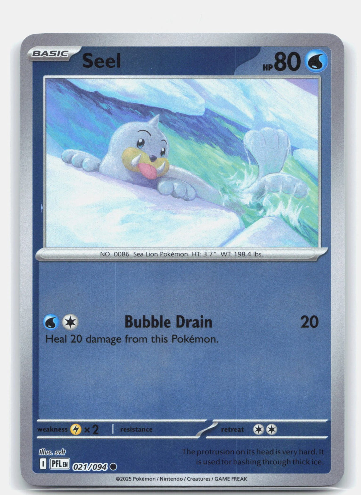 Seel