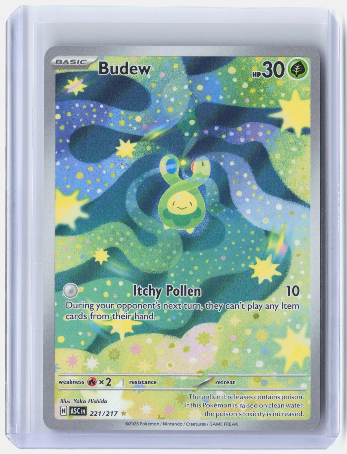 Budew - 221/217