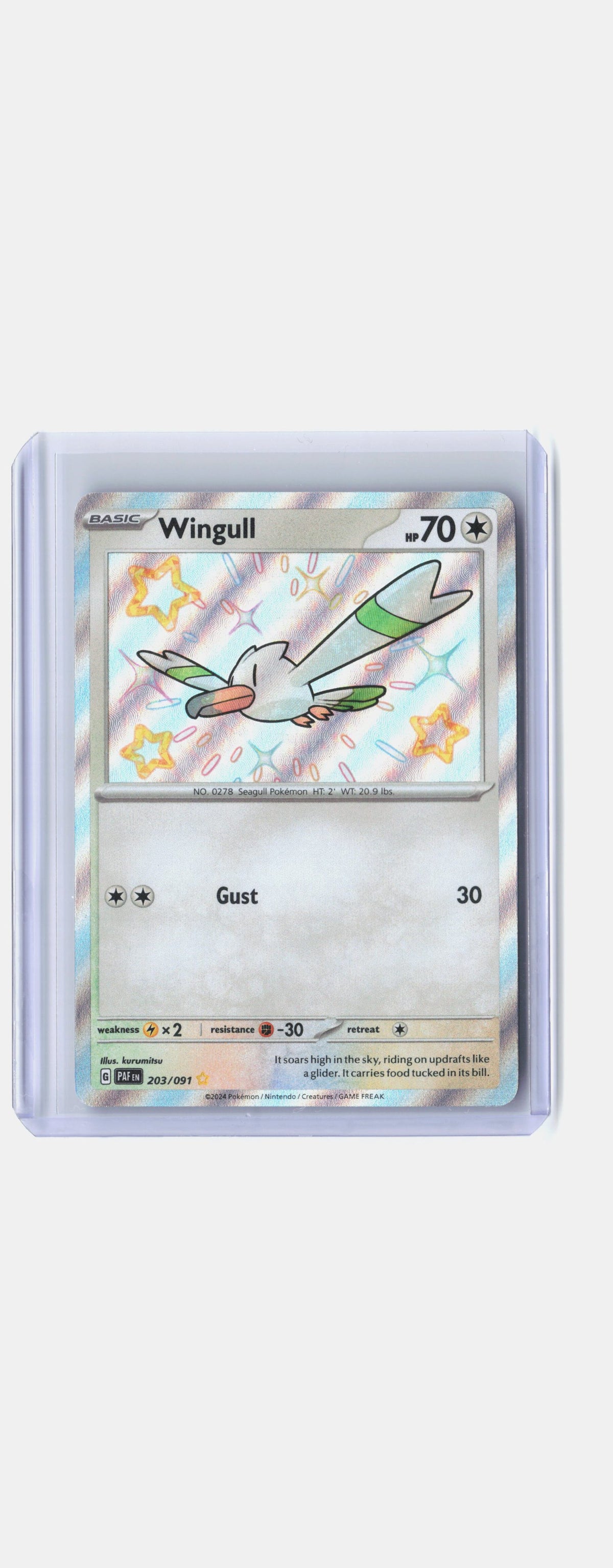 Wingull