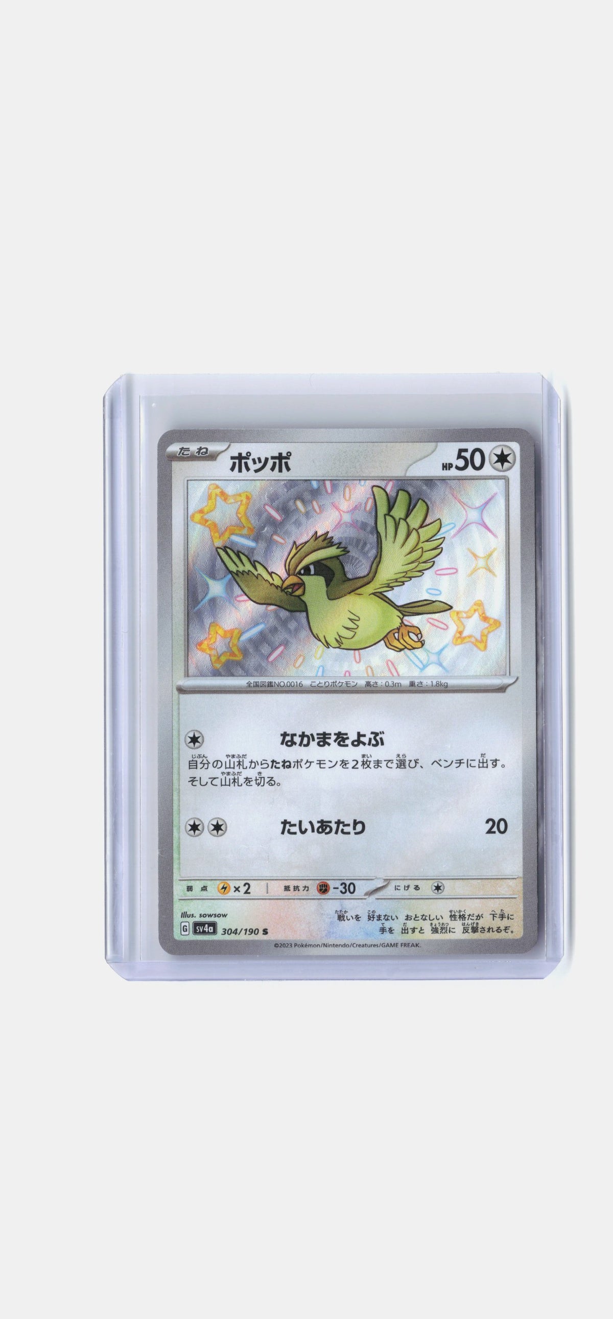Pidgey - 304/190