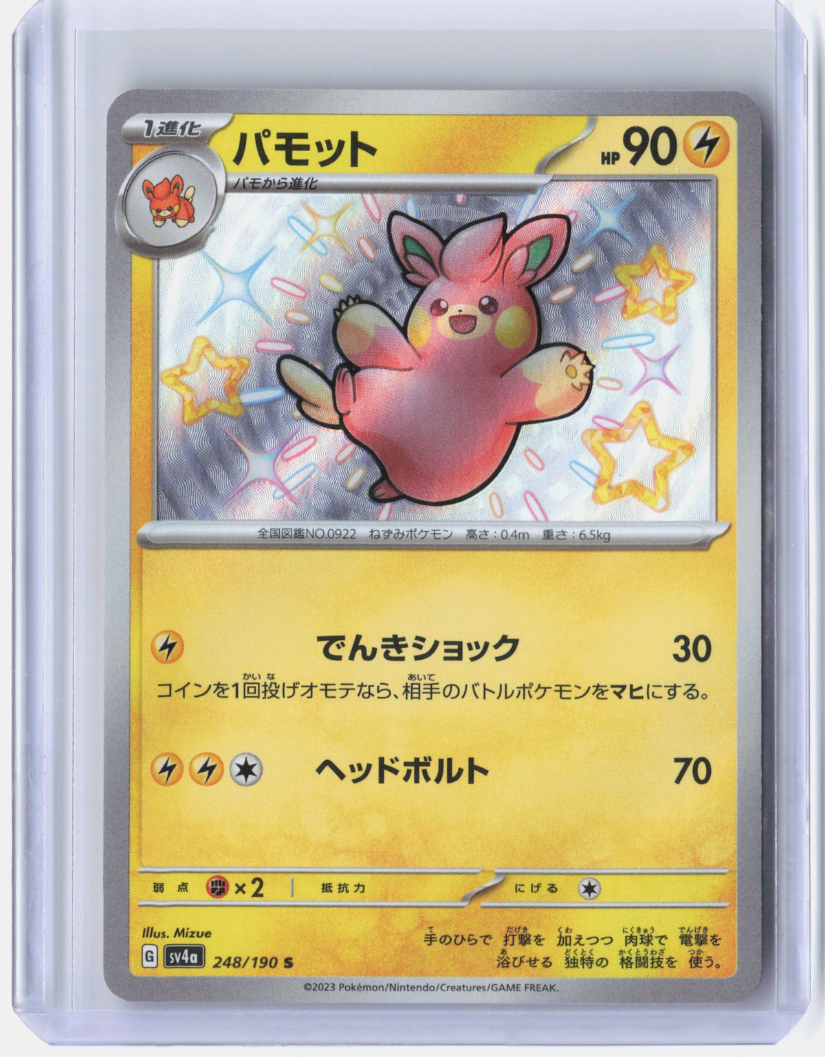 Pawmo - 248/190