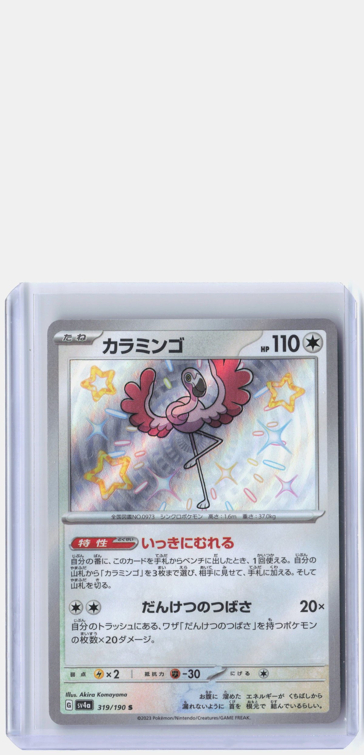 Flamigo - 319/190
