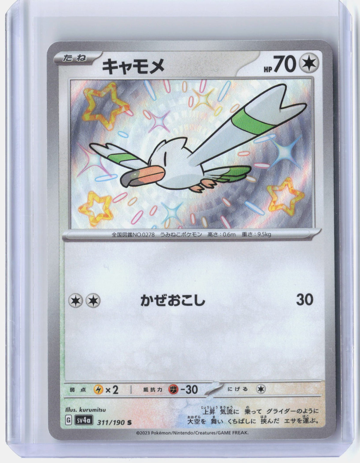 Wingull - 311/190