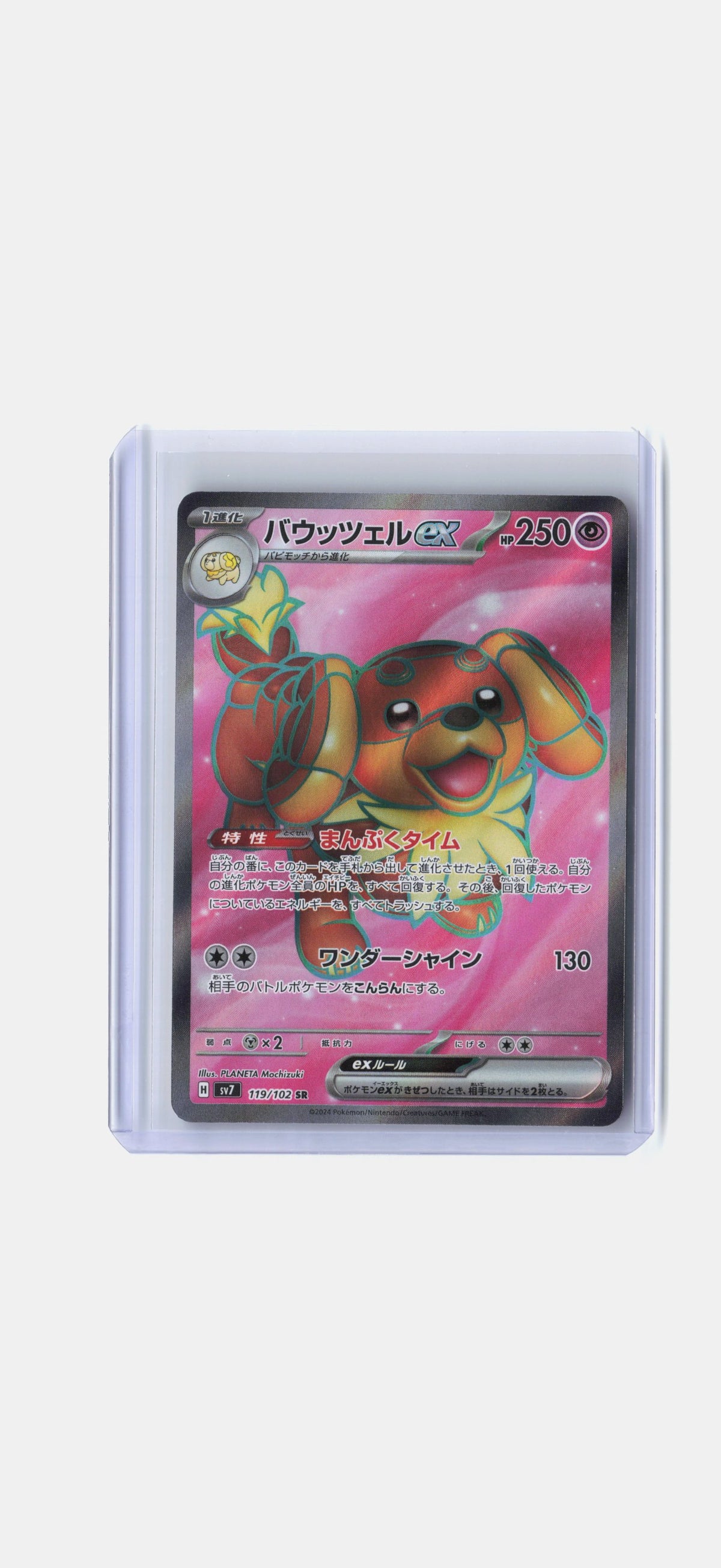 Dachsbun ex - 119/102