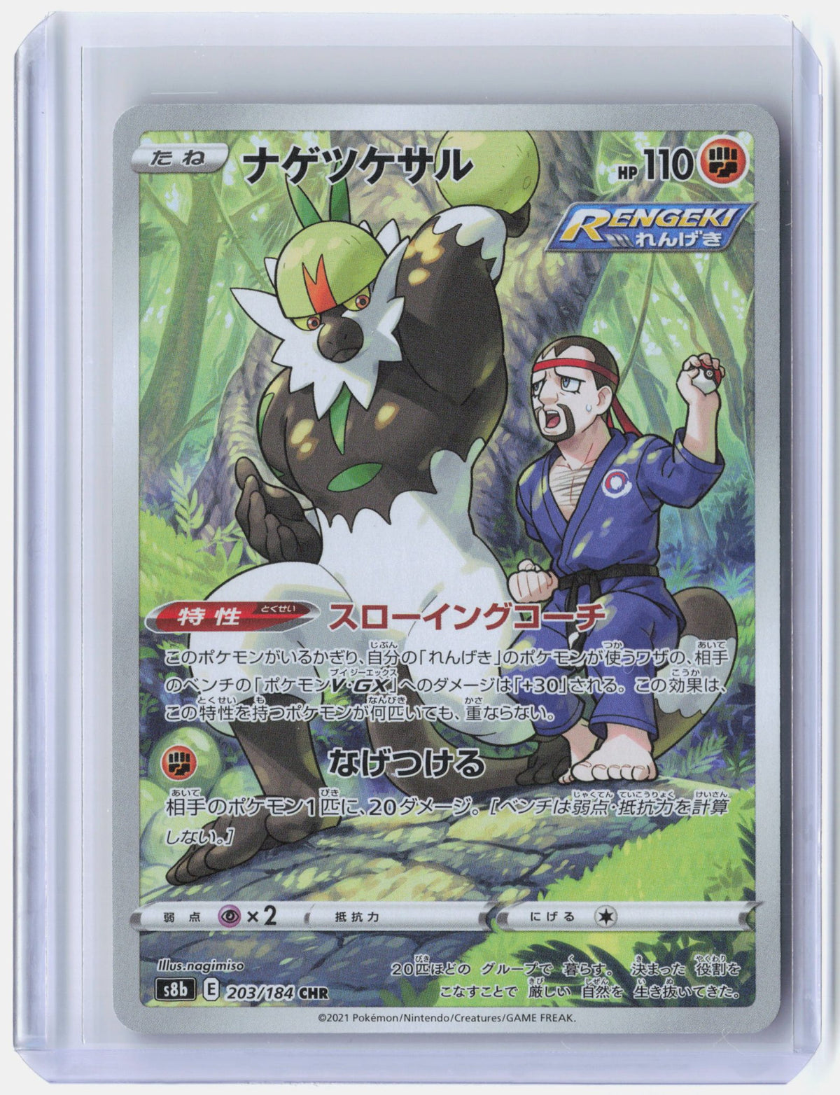 Passimian - 203/184