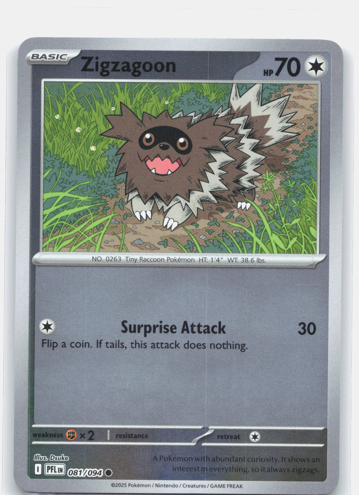 Zigzagoon