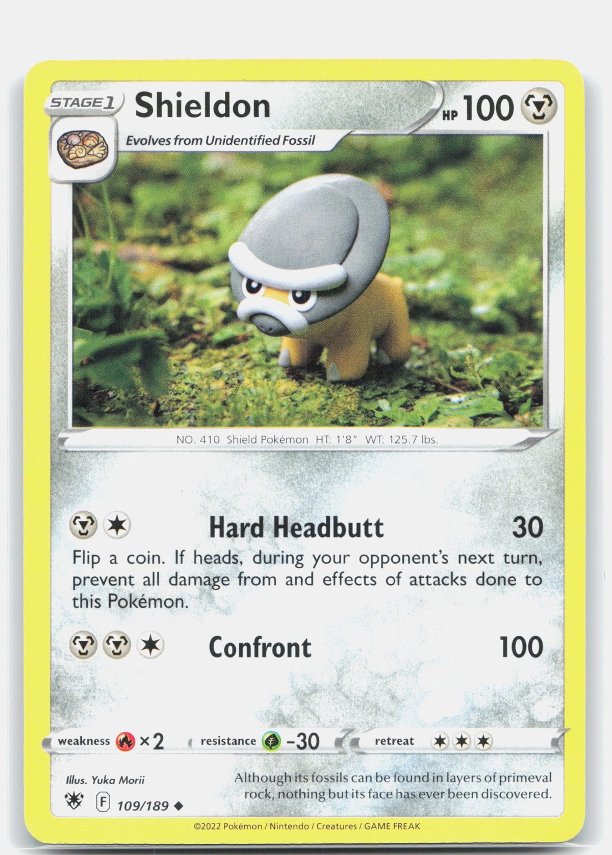 Shieldon