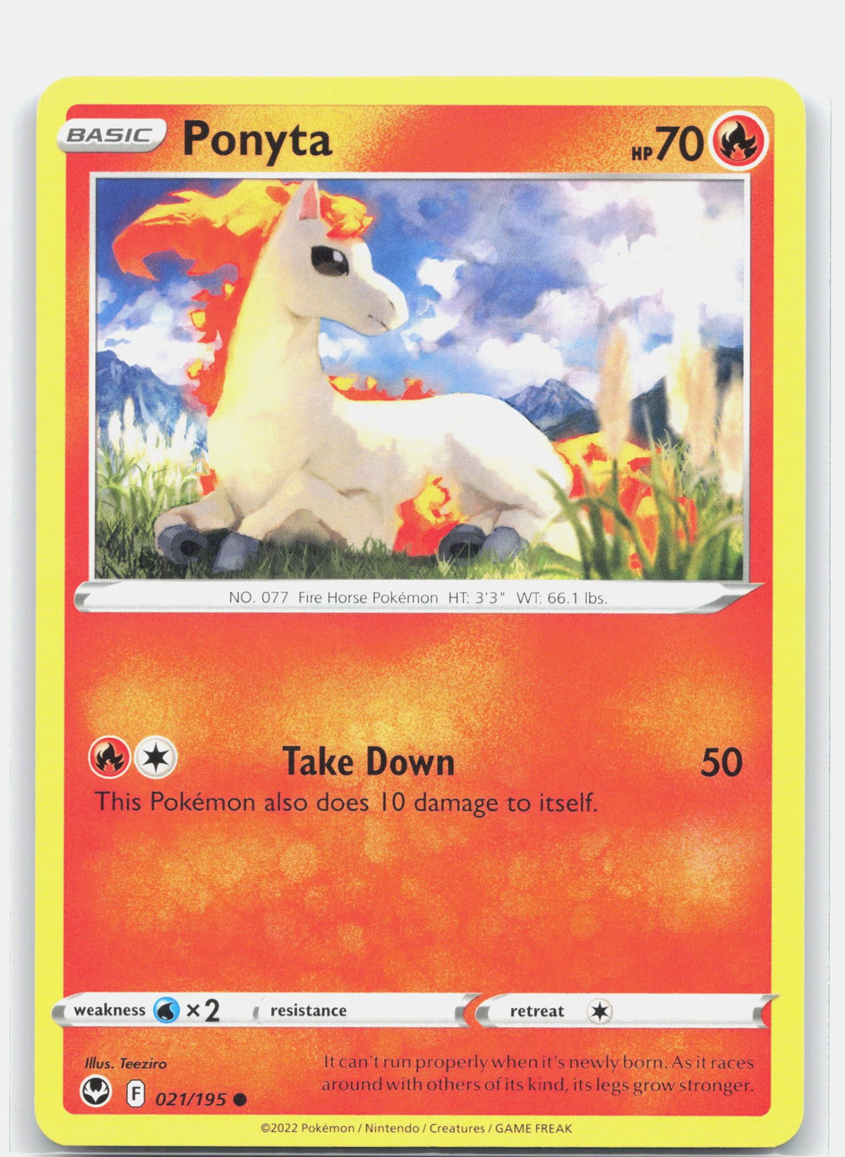 Ponyta