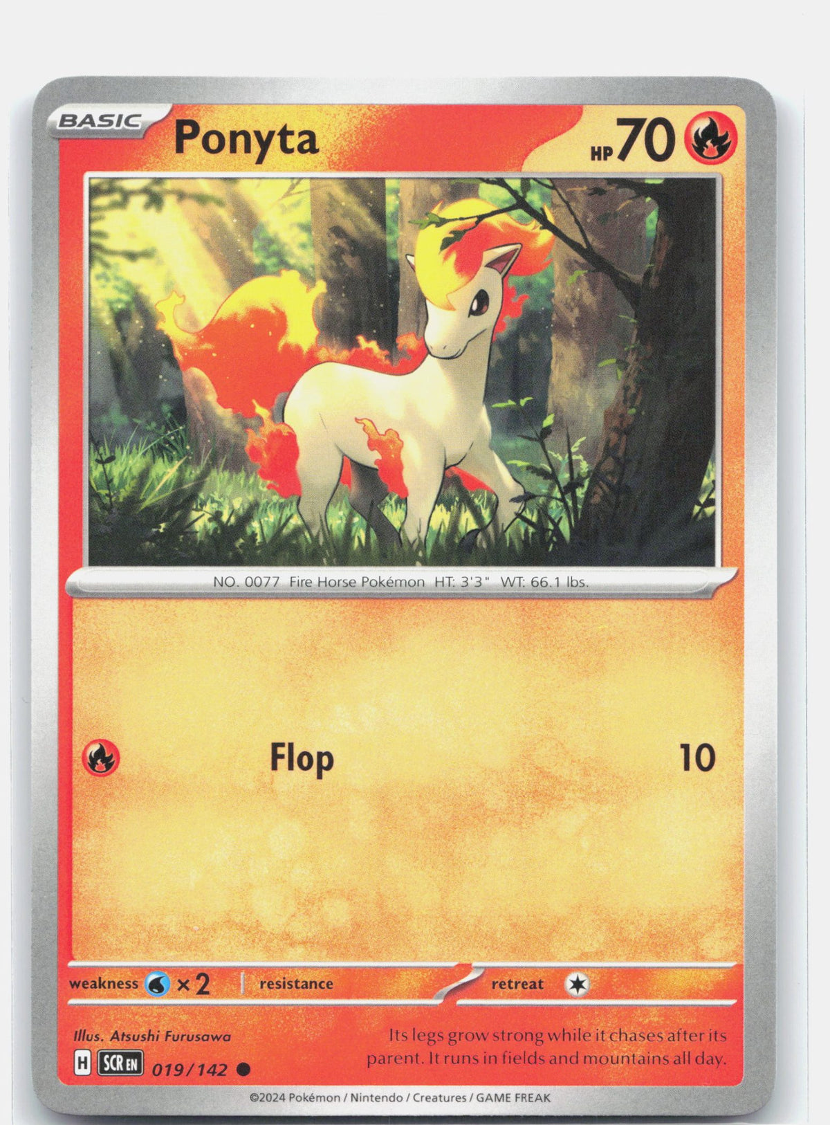 Ponyta
