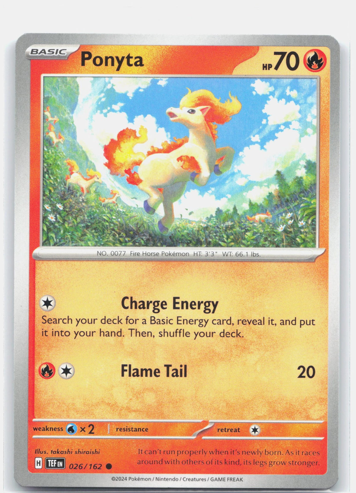 Ponyta