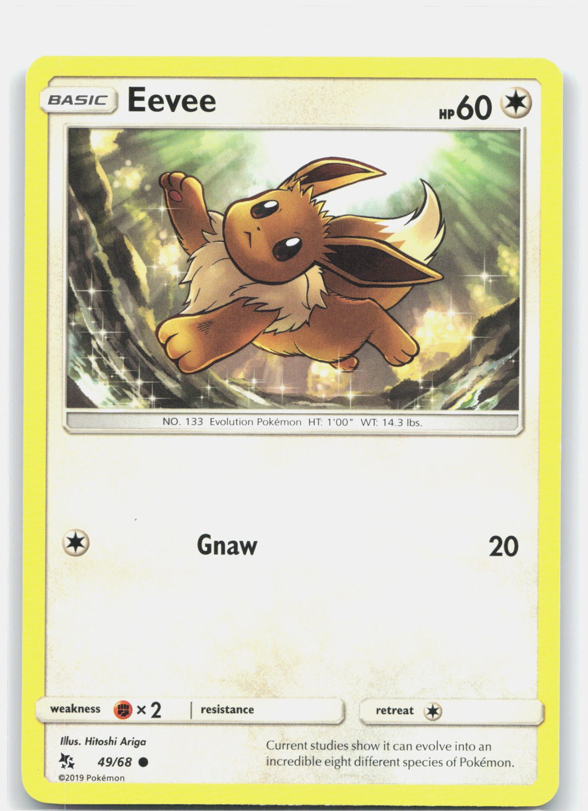 Eevee (49)