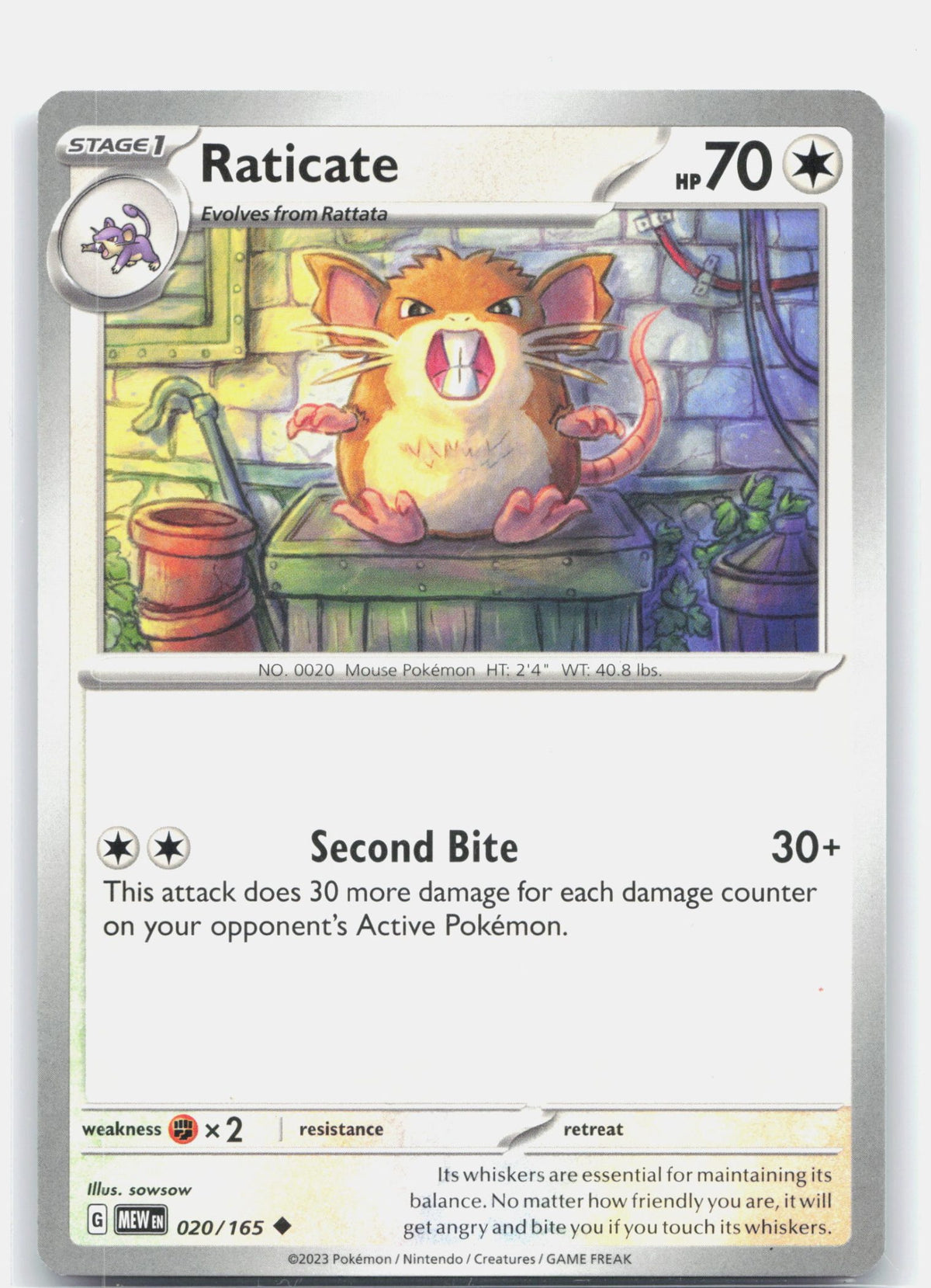Raticate