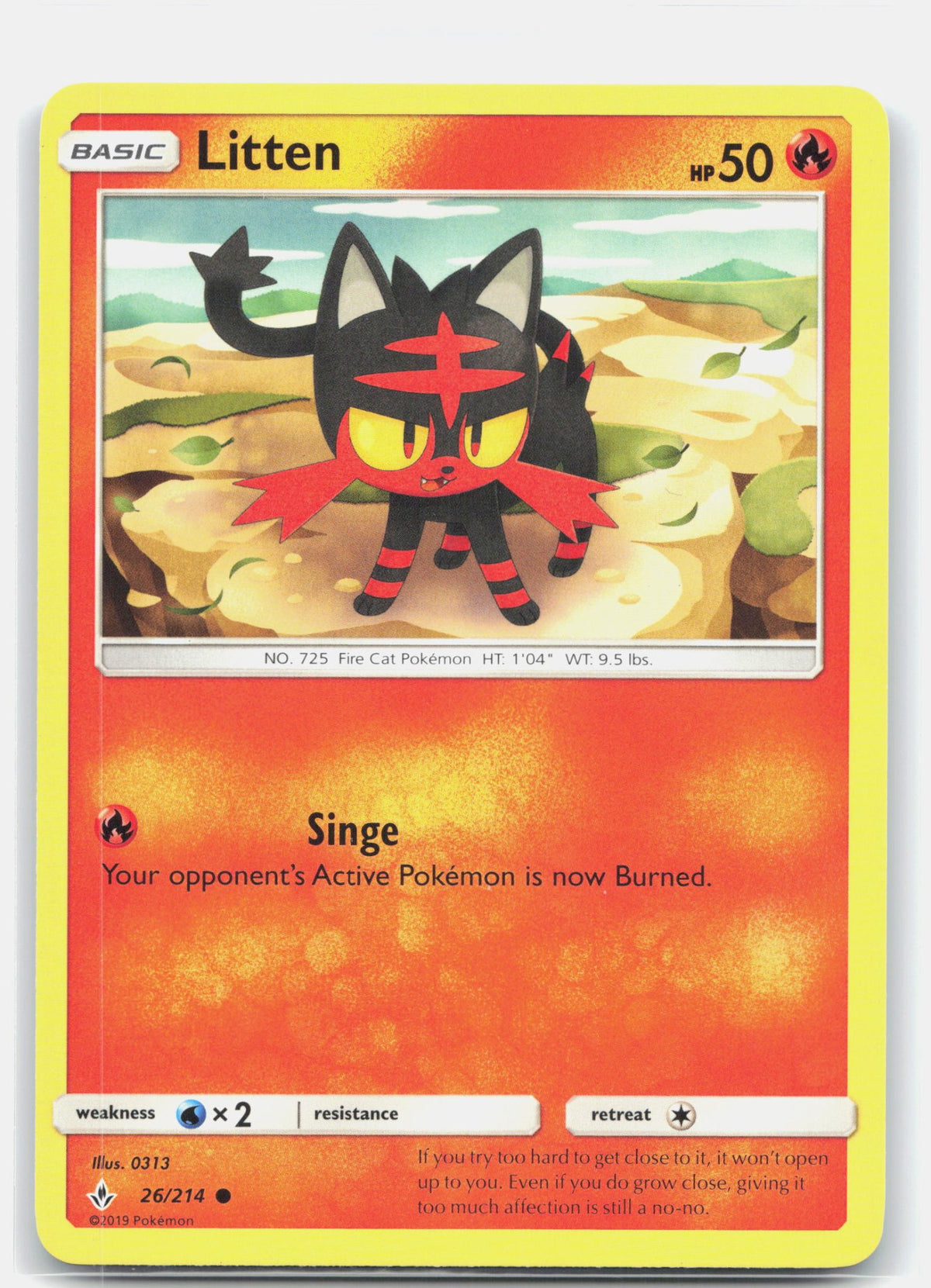 Litten (26)