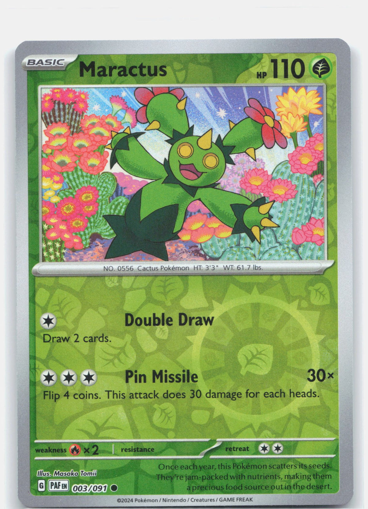 Maractus