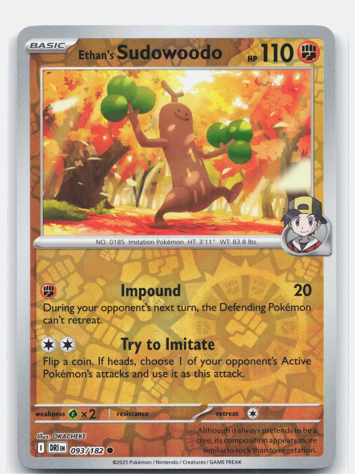 Ethan's Sudowoodo | Near Mint