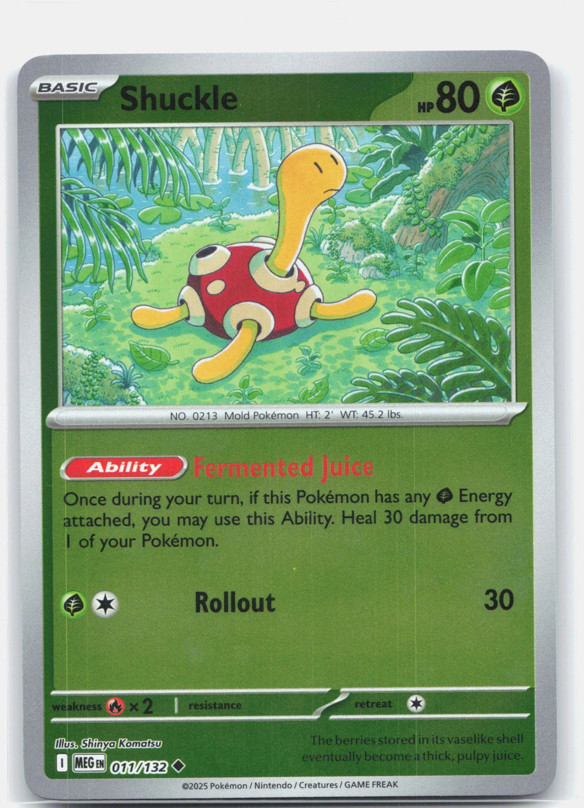 Shuckle - 011/132 | Near Mint