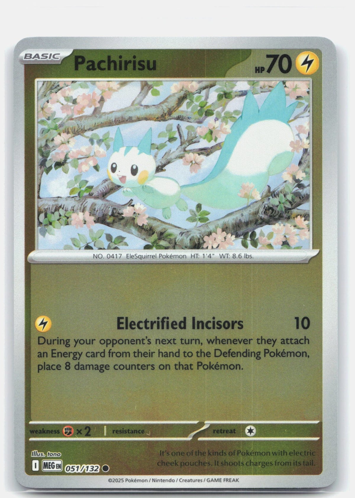 Pachirisu | Near Mint