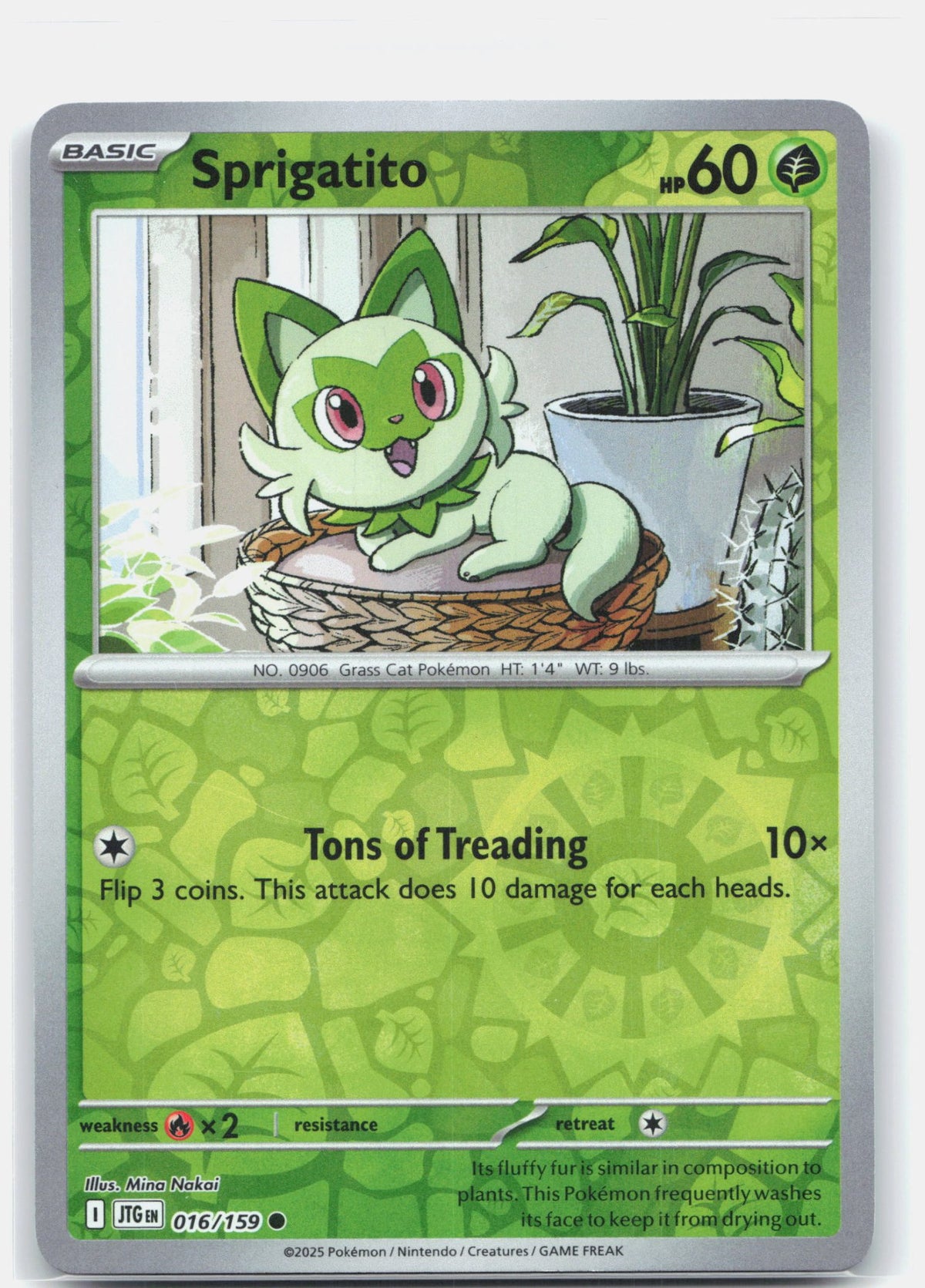 Sprigatito | Near Mint