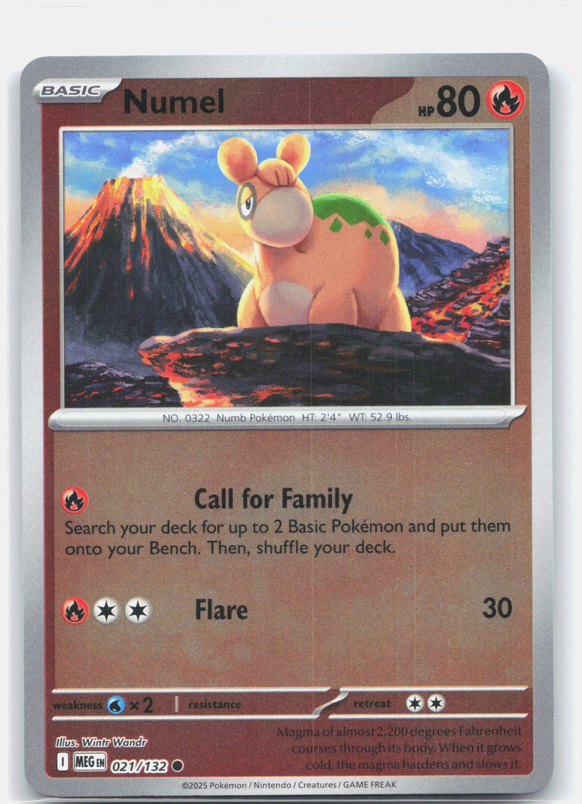 Numel | Near Mint