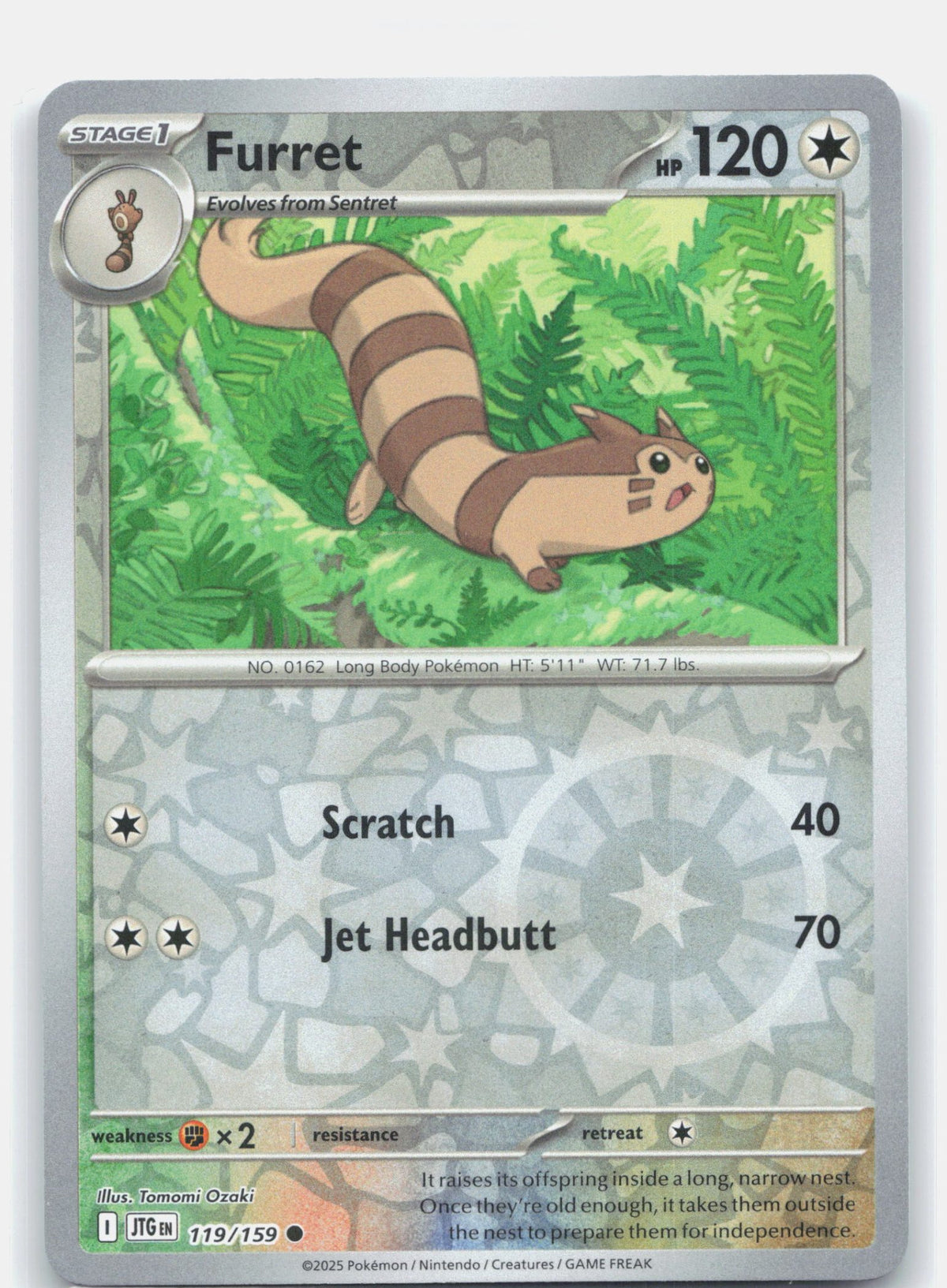 Furret - 119/159 | Near Mint