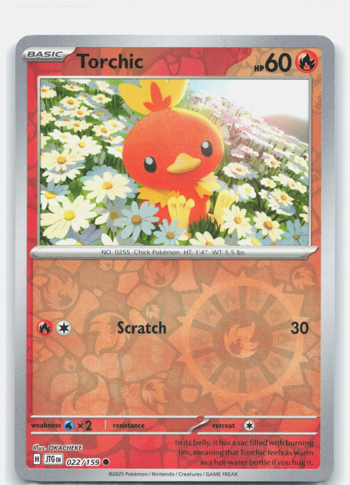 Torchic | Near Mint