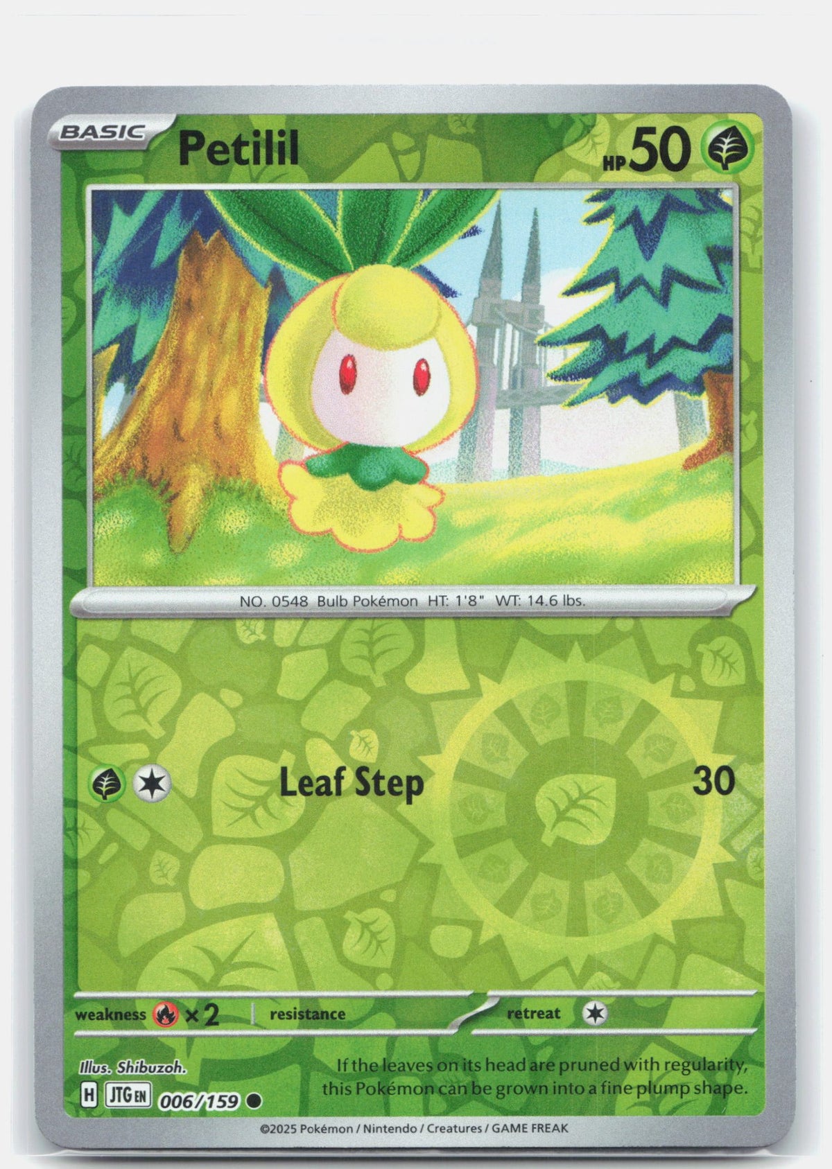 Petilil | Near Mint