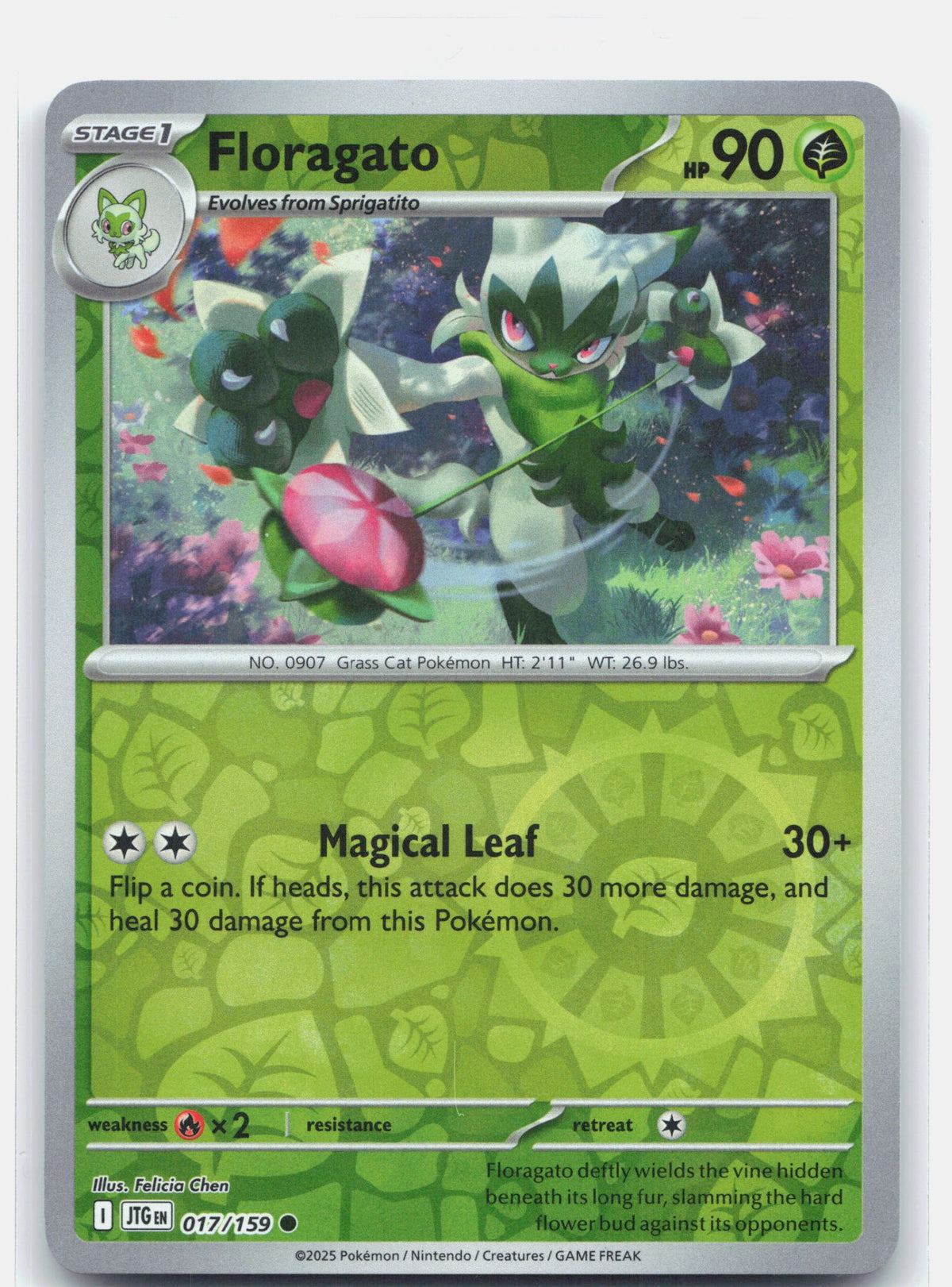 Floragato | Near Mint