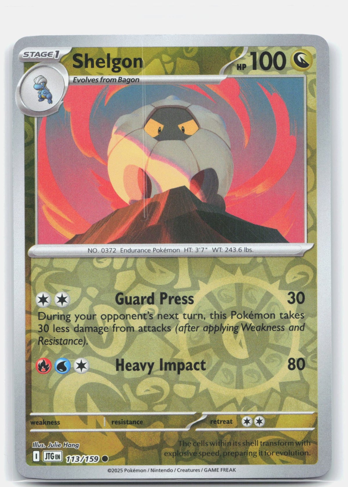 Shelgon | Near Mint