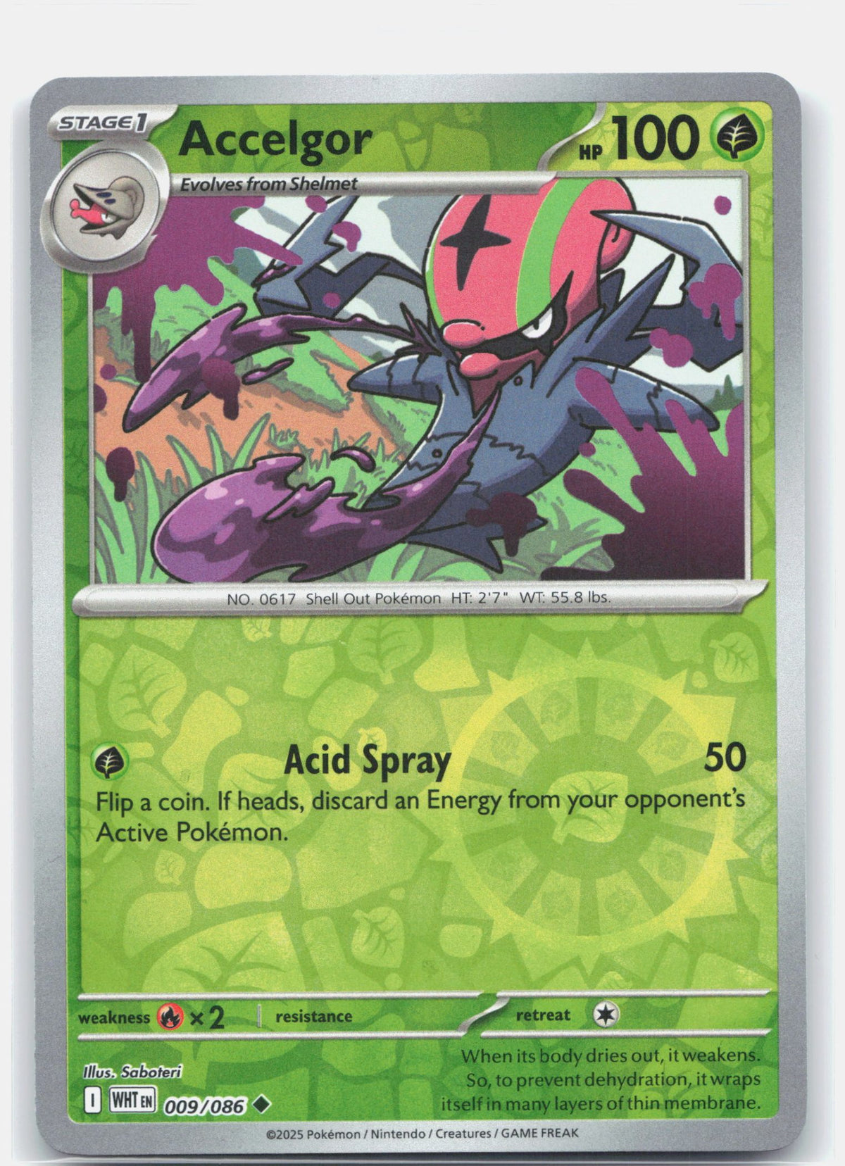 Accelgor | Near Mint