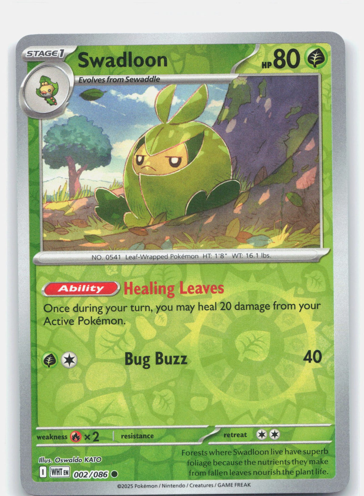 Swadloon | Near Mint