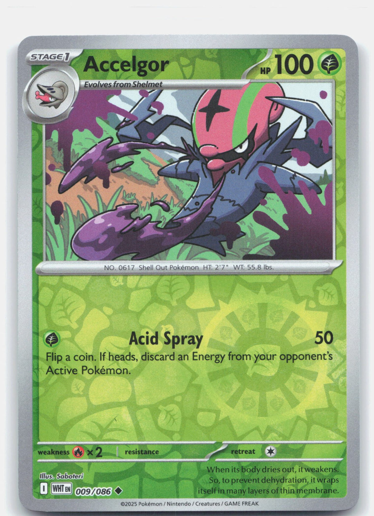 Accelgor | Near Mint