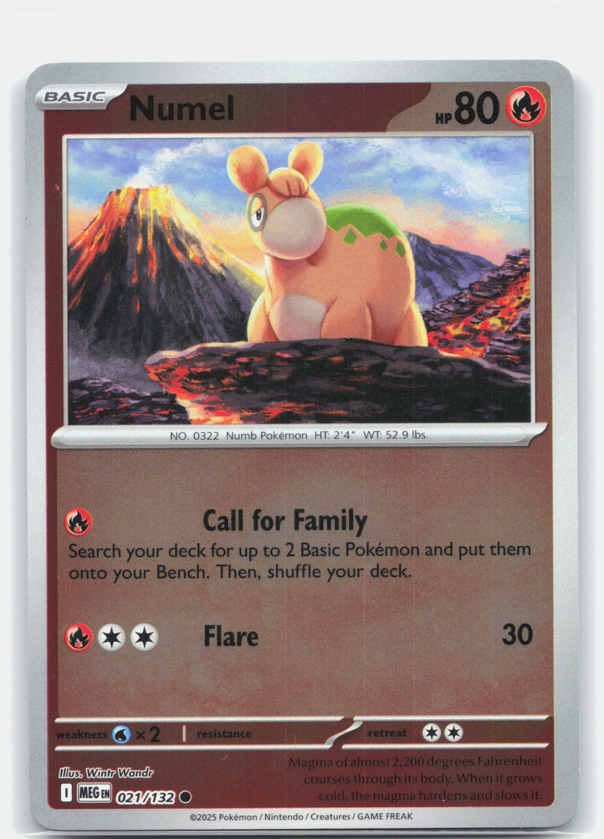 Numel | Near Mint