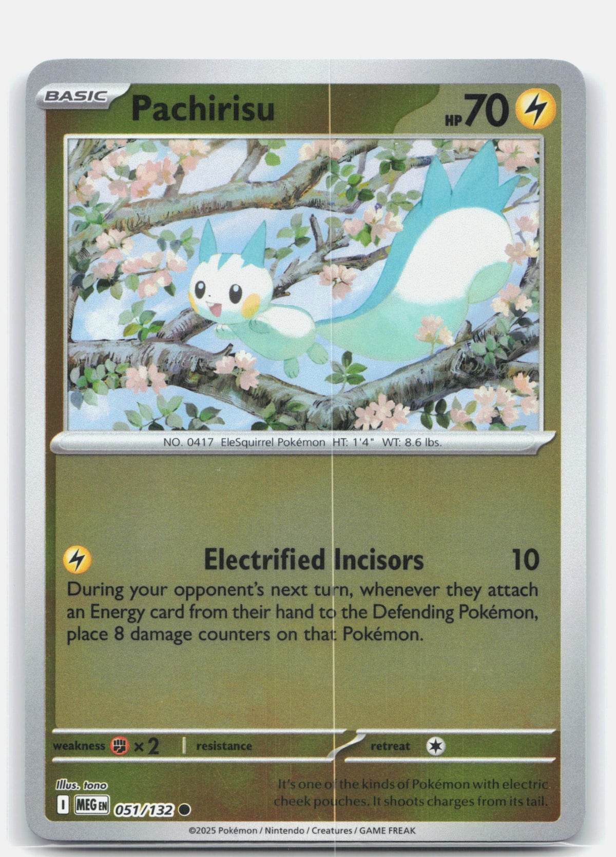 Pachirisu | Near Mint