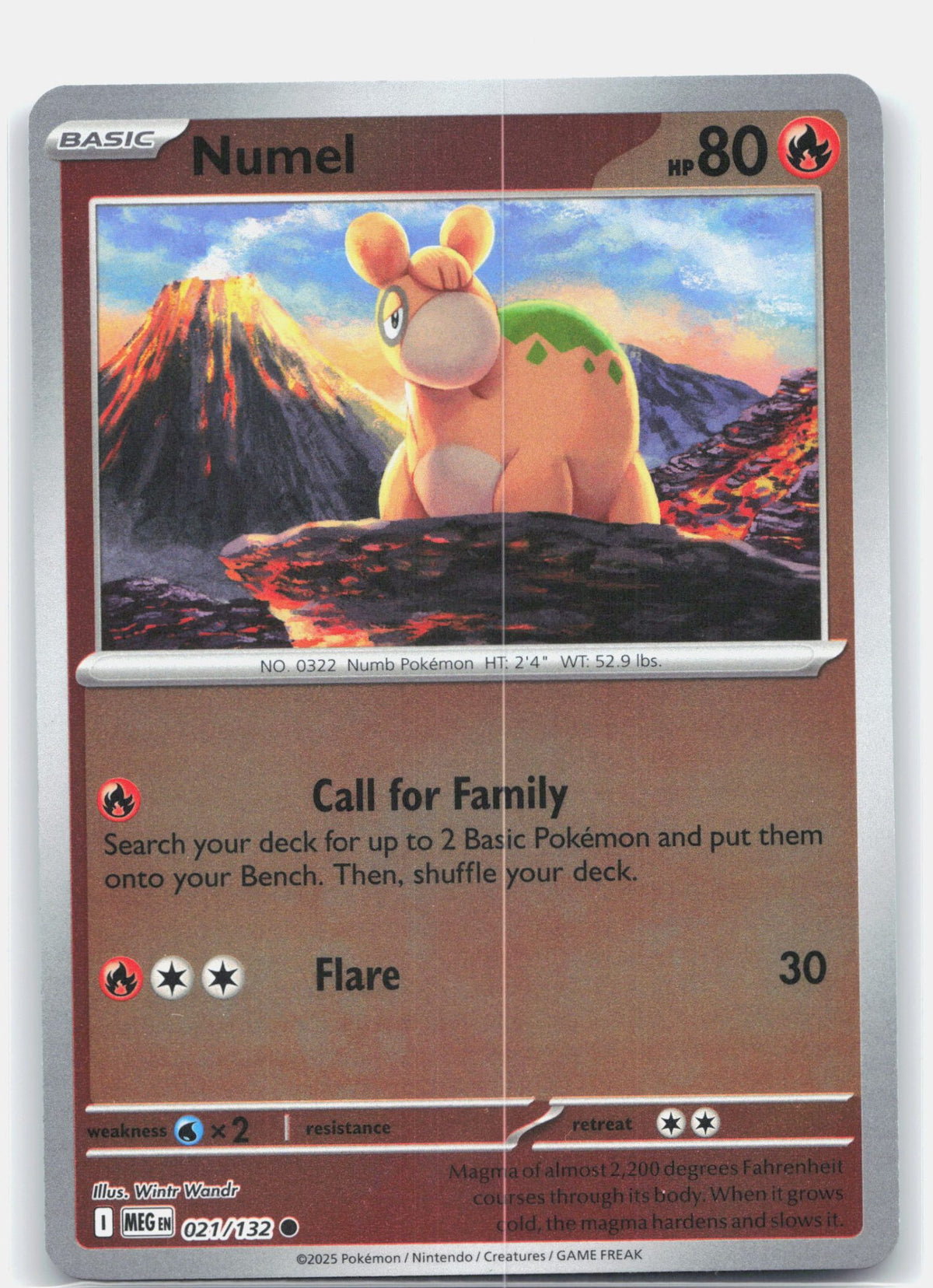 Numel | Near Mint