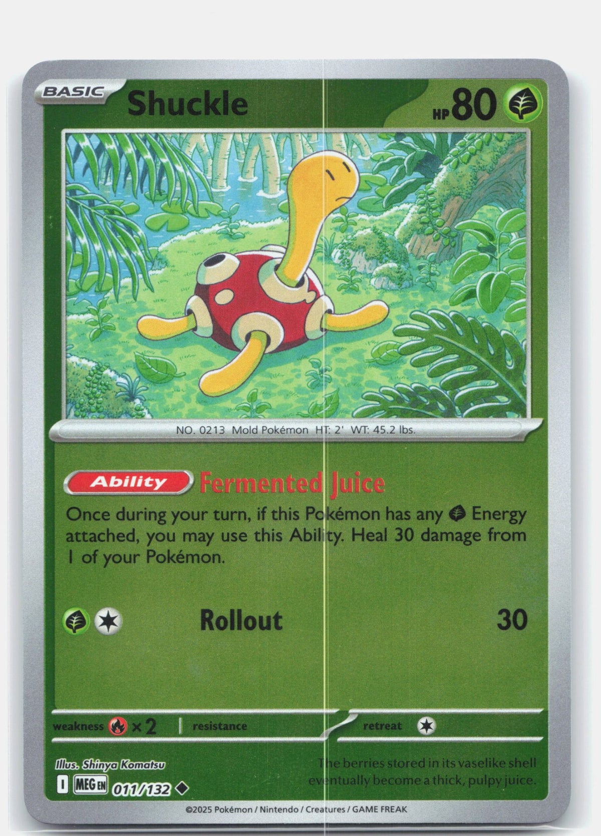 Shuckle - 011/132 | Near Mint