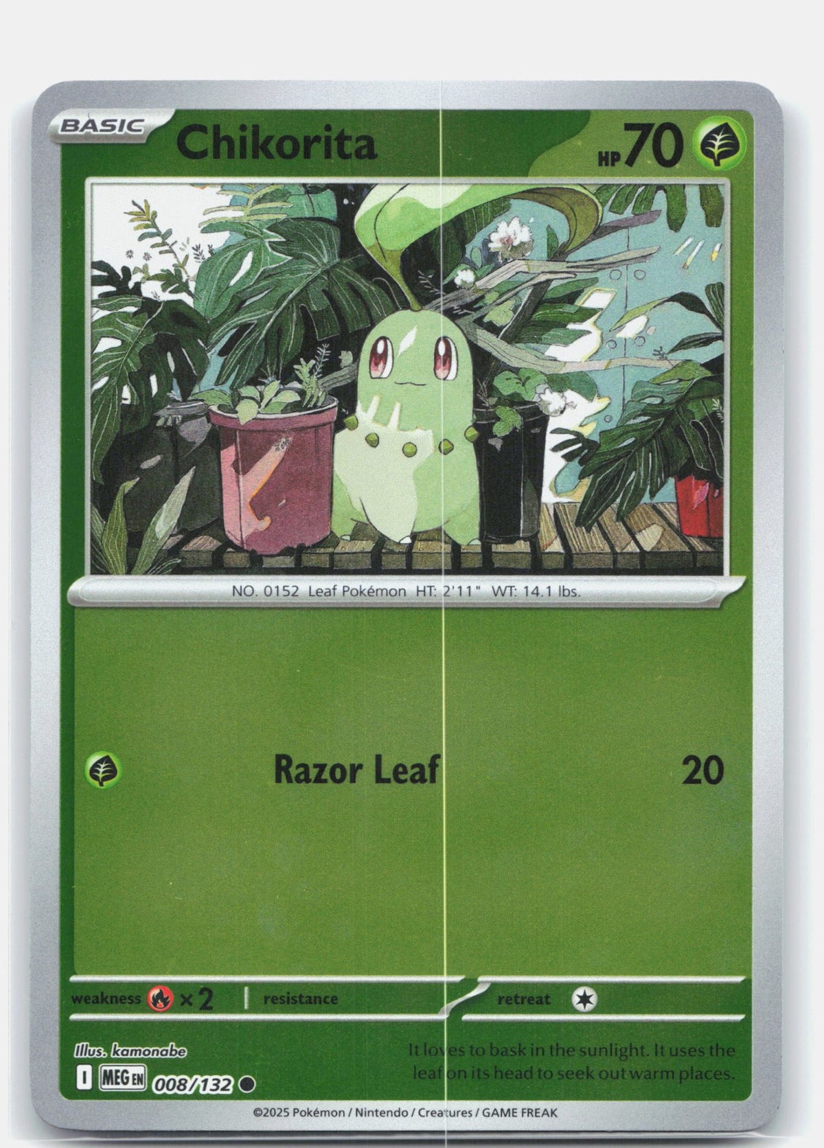 Chikorita 008 (Reverse Holofoil) - ME01: Mega Evolution