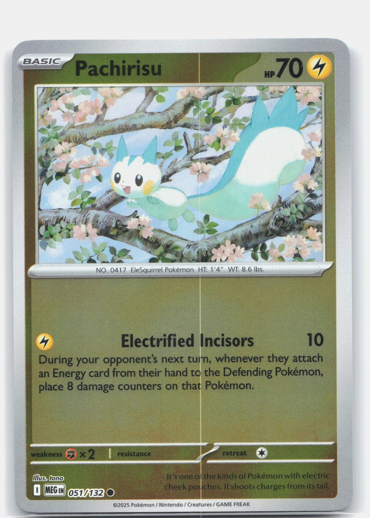 Pachirisu | Near Mint