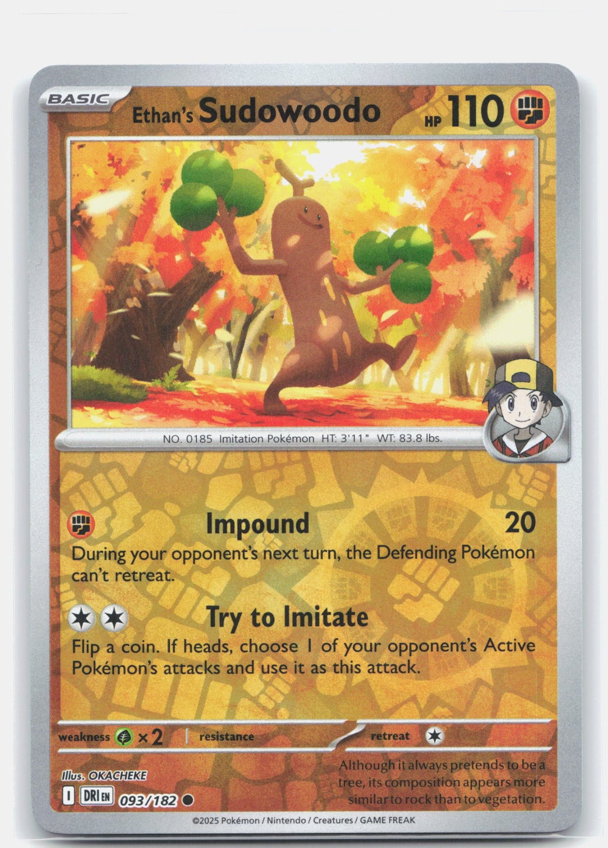 Ethan's Sudowoodo | Near Mint