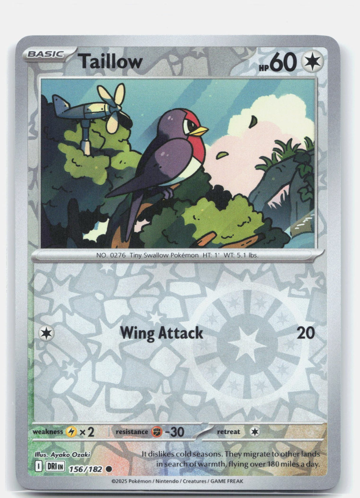 Taillow | Near Mint