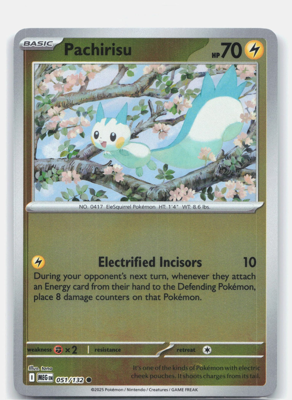 Pachirisu | Near Mint