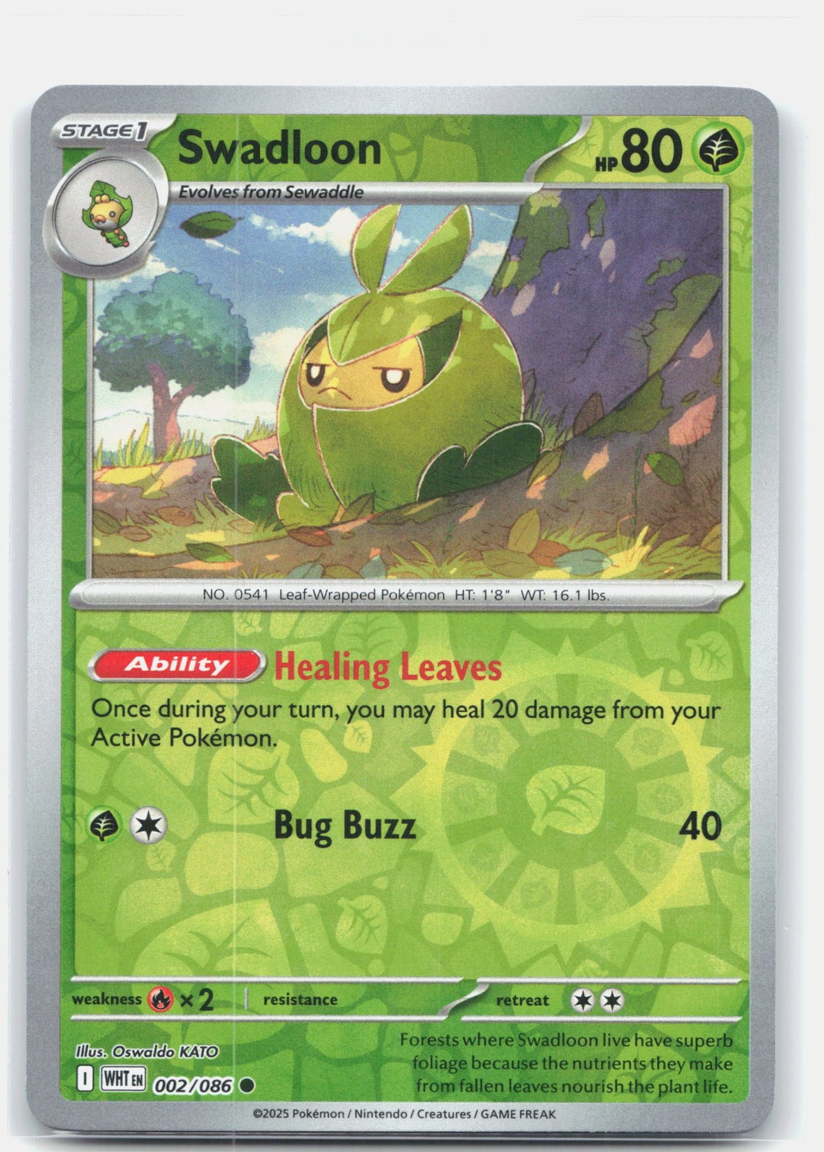 Swadloon | Near Mint