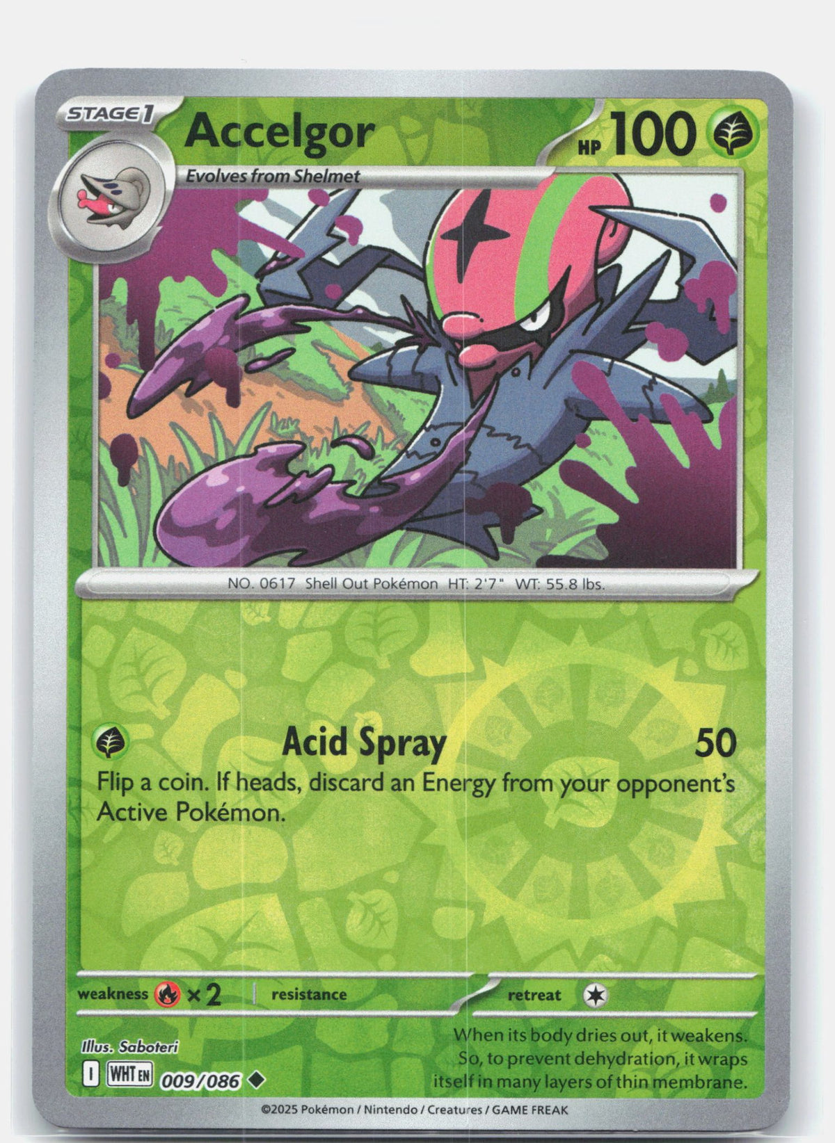 Accelgor | Near Mint