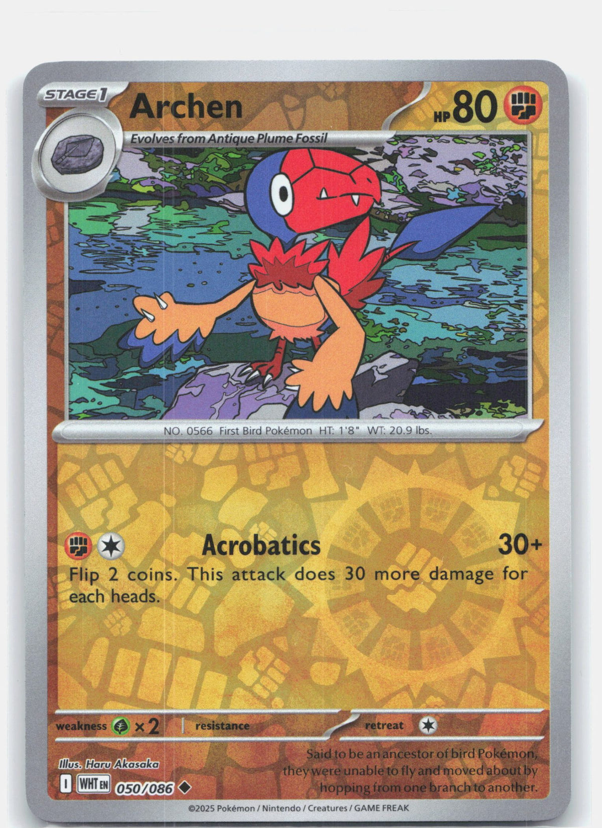 Archen | Near Mint