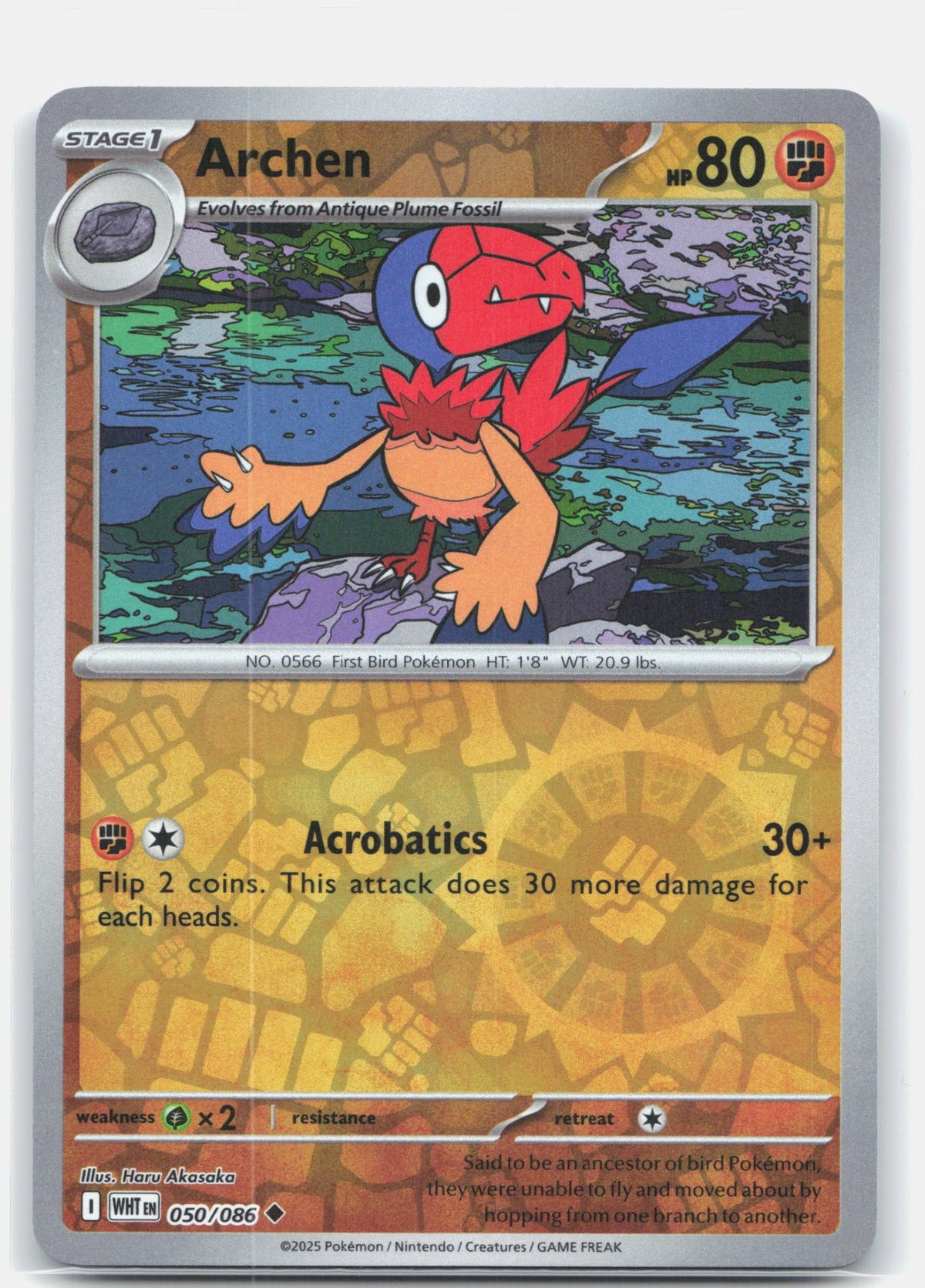 Archen | Near Mint