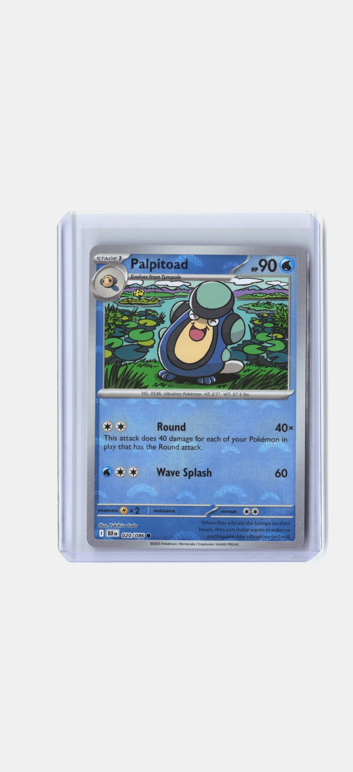 Palpitoad (Poke Ball Pattern)